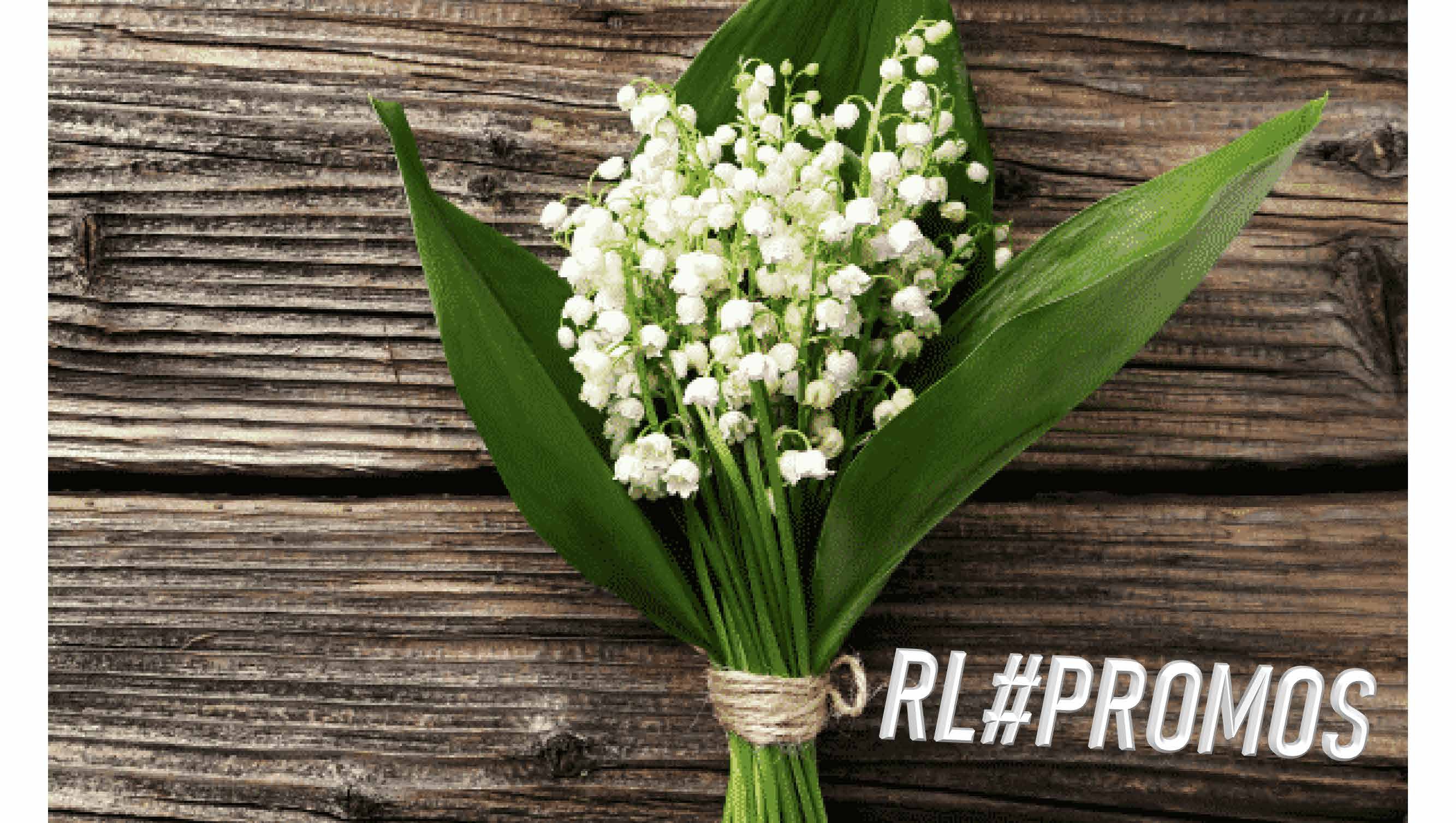 PROMO 15 MAI 2023_Page_01