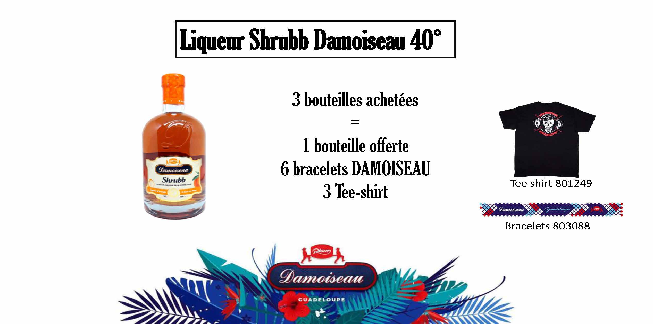 PROMOS AOUT_Page_12