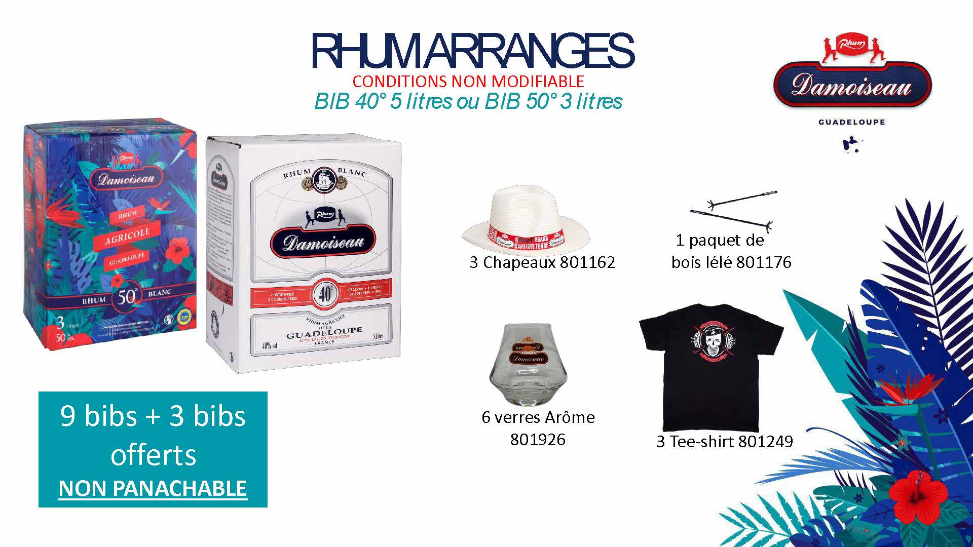 PROMOS AOUT_Page_13